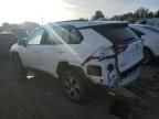 2024 Toyota Rav4 Prime SE