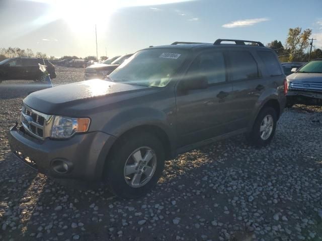 2011 Ford Escape XLT