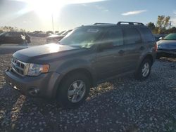 Salvage cars for sale at Wayland, MI auction: 2011 Ford Escape XLT