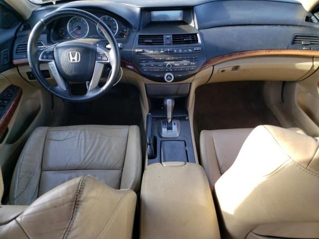 2011 Honda Accord EXL