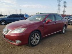 Salvage cars for sale at Elgin, IL auction: 2010 Lexus ES 350