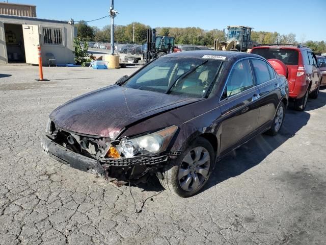 2010 Honda Accord EXL