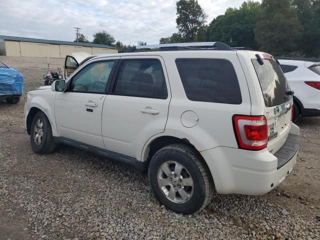 2012 Ford Escape Limited