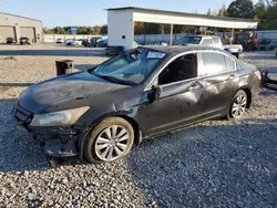 Salvage cars for sale at Memphis, TN auction: 2011 Honda Accord EXL