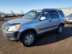 Honda salvage cars for sale: 2004 Honda CR-V EX