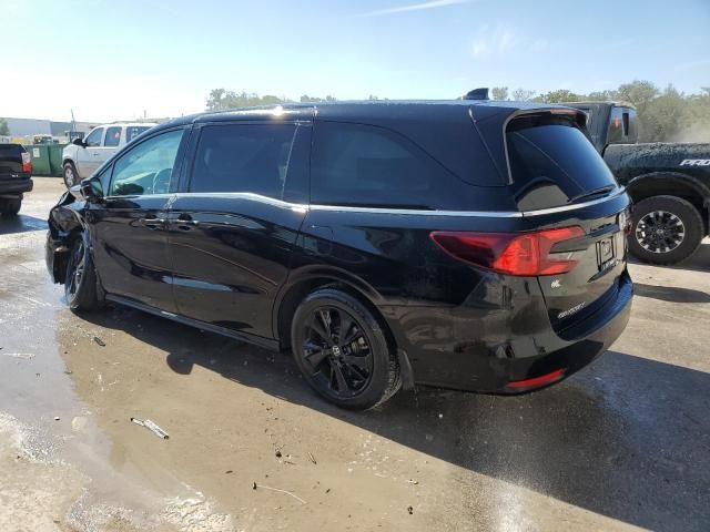 2023 Honda Odyssey SPORT-L