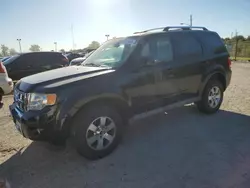 Ford salvage cars for sale: 2009 Ford Escape Limited