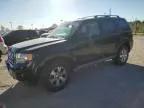 2009 Ford Escape Limited