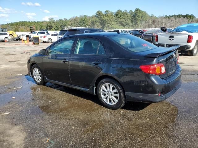 2010 Toyota Corolla Base