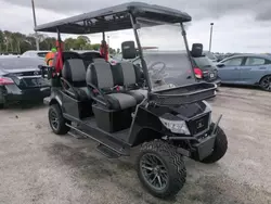 Salvage cars for sale from Copart Riverview, FL: 2024 Golf Cart