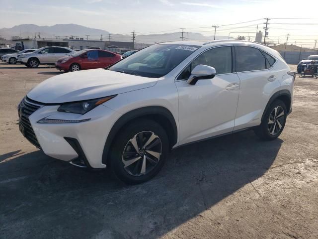 2021 Lexus NX 300H Base