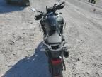 2023 Triumph Tiger 1200 Rally Explorer