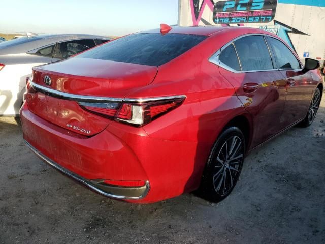 2024 Lexus ES 250 Base