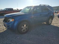 Salvage cars for sale at Wayland, MI auction: 2011 Ford Escape XLT