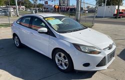 Ford salvage cars for sale: 2014 Ford Focus SE