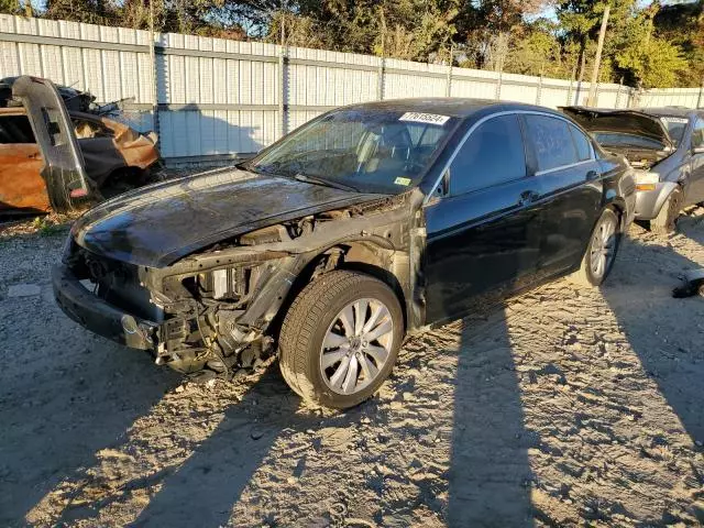 2011 Honda Accord EXL