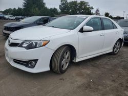 Salvage cars for sale at Finksburg, MD auction: 2014 Toyota Camry L