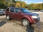 2009 Honda Pilot EXL