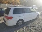 2009 Honda Odyssey EXL