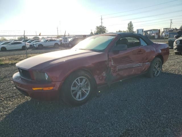 2005 Ford Mustang