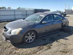 Nissan Vehiculos salvage en venta: 2008 Nissan Maxima SE