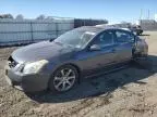 2008 Nissan Maxima SE