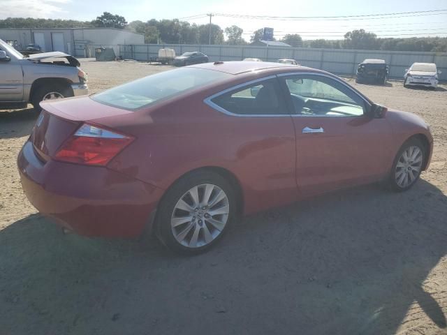 2009 Honda Accord EXL