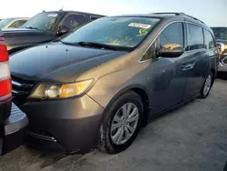 2014 Honda Odyssey EXL en venta en Arcadia, FL