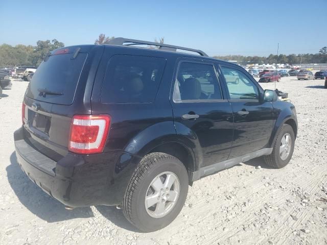 2009 Ford Escape XLT