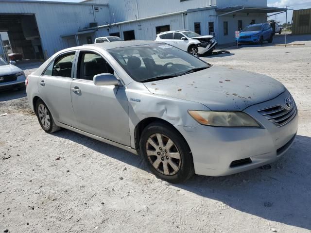 2007 Toyota Camry Hybrid