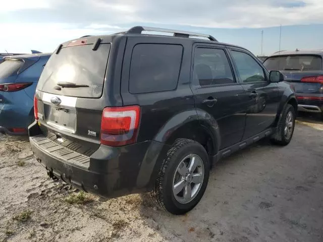 2011 Ford Escape Limited