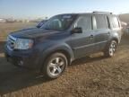 2010 Honda Pilot EXL