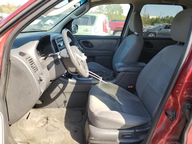 2005 Ford Escape XLT