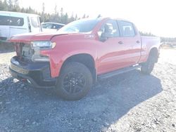 Salvage Cars with No Bids Yet For Sale at auction: 2022 Chevrolet Silverado LTD K1500 LT Trail Boss