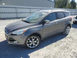 Salvage cars for sale at Gastonia, NC auction: 2014 Ford Escape Titanium