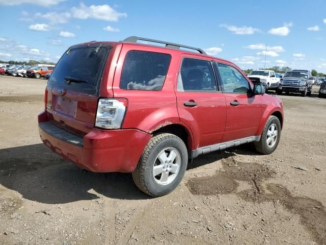 2009 Ford Escape XLT