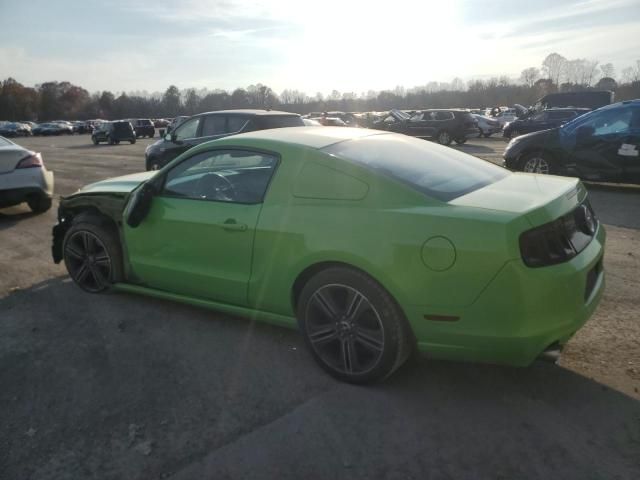 2013 Ford Mustang