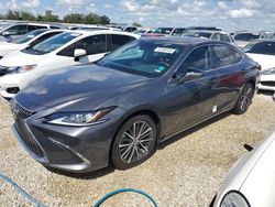 Salvage cars for sale at Arcadia, FL auction: 2023 Lexus ES 350 Base