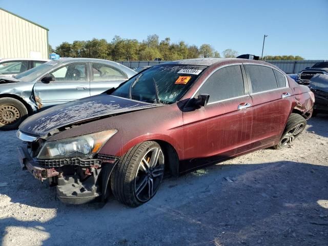 2011 Honda Accord EXL