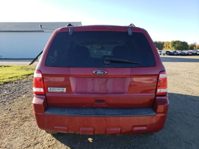 2010 Ford Escape XLT