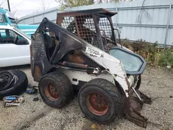 Bobcat salvage cars for sale: 2000 Bobcat 773