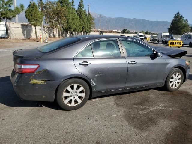 2009 Toyota Camry Hybrid