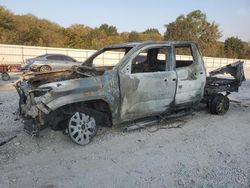 Salvage cars for sale at Prairie Grove, AR auction: 2024 Toyota Tacoma Double Cab