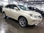 2013 Lexus RX 450H