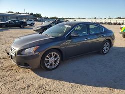 Salvage cars for sale from Copart Gaston, SC: 2012 Nissan Maxima S