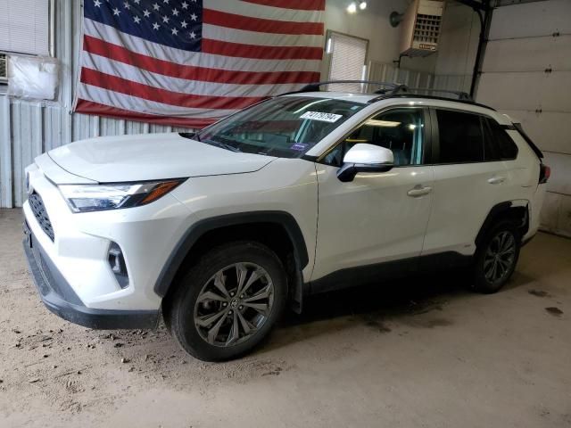 2023 Toyota Rav4 XLE Premium