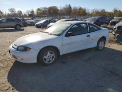 Salvage cars for sale at Chalfont, PA auction: 2003 Chevrolet Cavalier