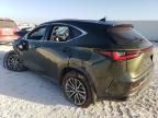 2022 Lexus NX 350