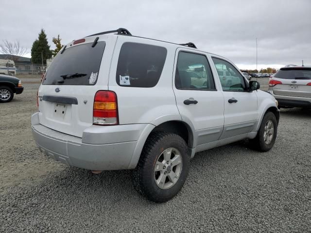 2007 Ford Escape XLT