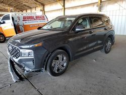 Salvage cars for sale at Phoenix, AZ auction: 2023 Hyundai Santa FE SEL